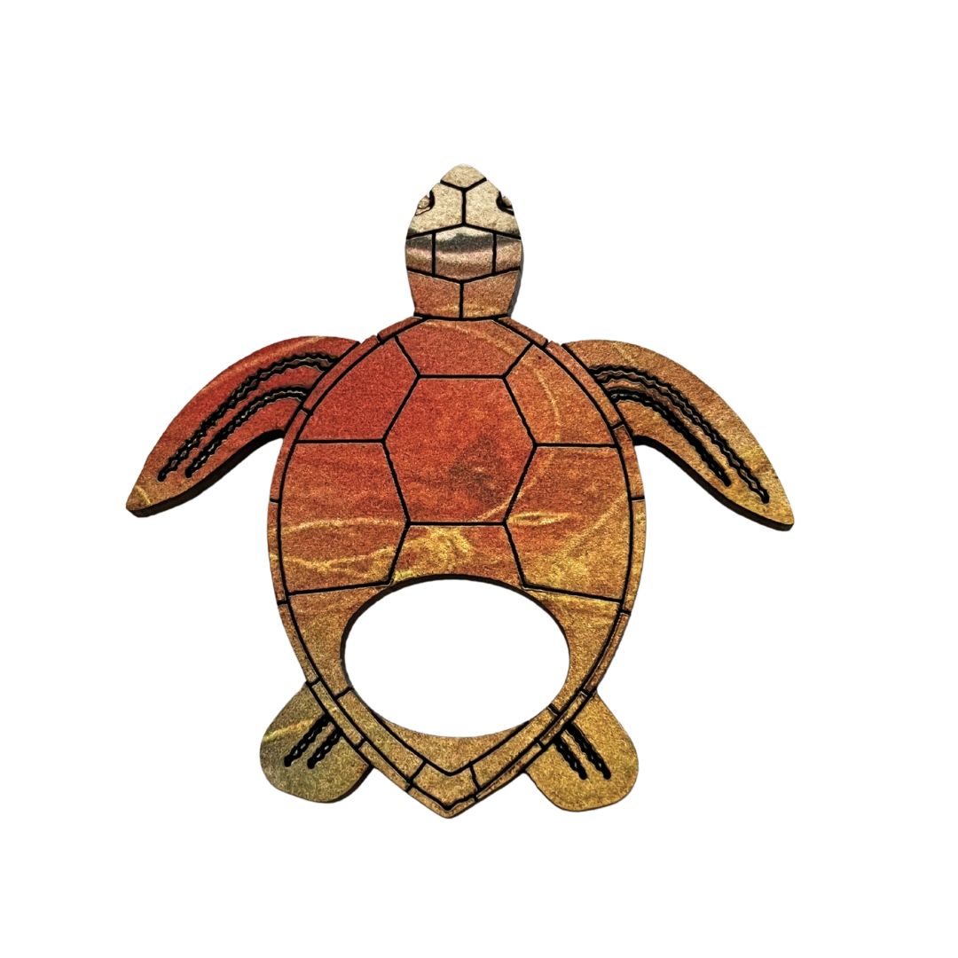 Turtle Glasses Brooch (6 Colors)