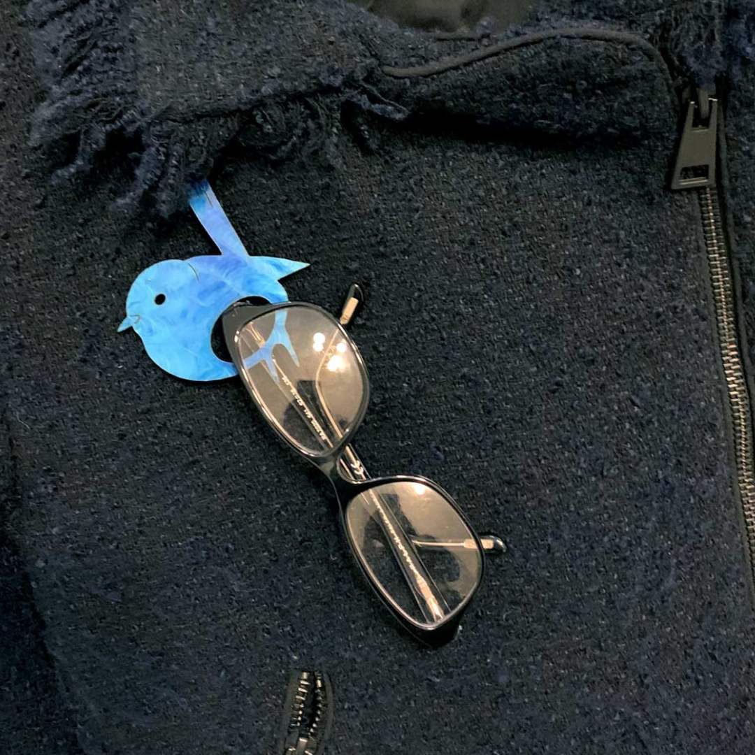Blue Wren Glasses Brooch (9 Colors)