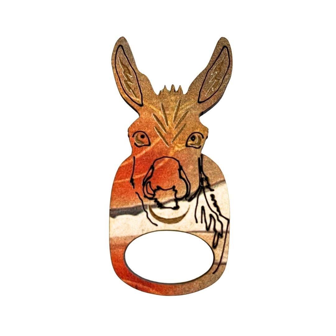 Donkey Glasses Brooch