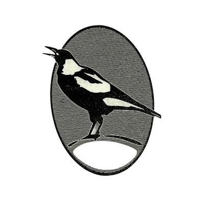 Magpie Glasses Brooch (3 Shapes)