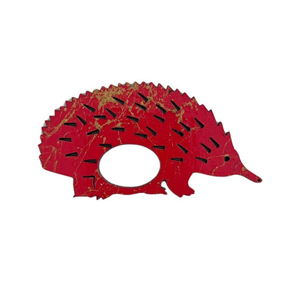 Echidna Glasses Brooch (5 Colors)