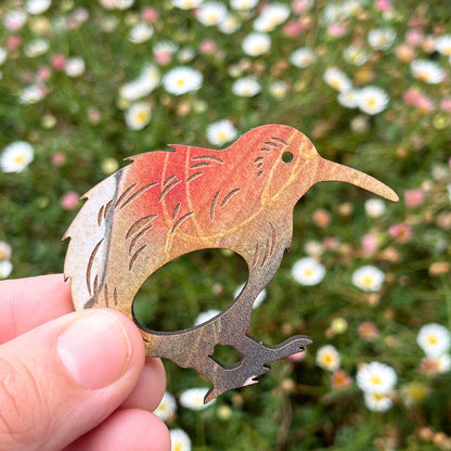 Kiwi Glasses Brooch (4 Colors)