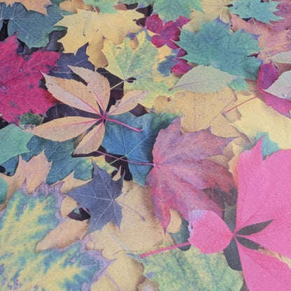 Butterfly Glasses Brooch (Autumn Leaf Print)