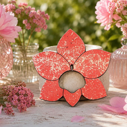 Pink & White Orchid