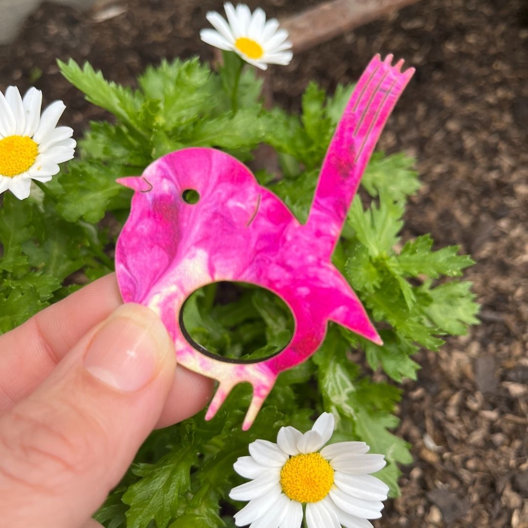 Blue Wren Glasses Brooch (7 Colors)